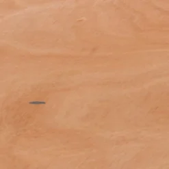 Flash Furniture 5-Foot Half-Round Wood Folding Banquet Table 15 Flash Furniture 5-Foot Half-Round Wood Folding Banquet Table -Furniture GUEST 3dac703a b9df 48d6 841d 0764e7503570