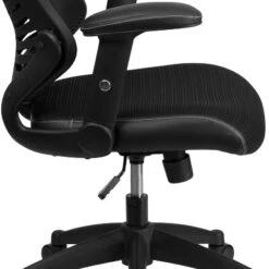Executive Swivel Office Chair With Mesh Padded Seat - Flash Furniture 20 Executive Swivel Office Chair With Mesh Padded Seat - Flash Furniture -Furniture GUEST 4a0dd397 d759 46e0 b00e 6e68e00f7b96