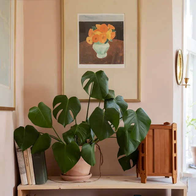 Furniture -Furniture undefined